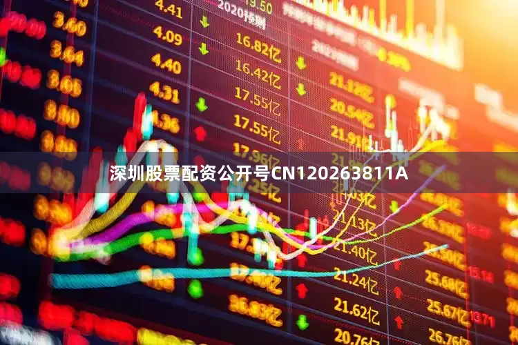 深圳股票配资公开号CN120263811A